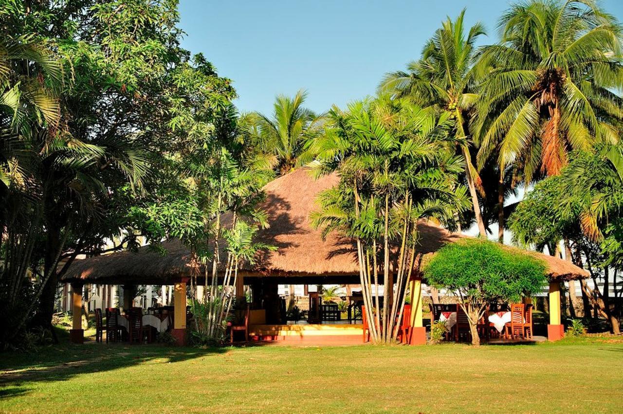 Happy Ripples Beach Resort Mabilao Exteriör bild